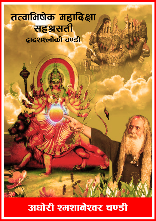 चण्डी साधनादेखि सिद्धिसम्म, 'तत्वाभिषेक महादिक्षा सहश्रसती द्वादशश्लोकी चण्डी' पाठ